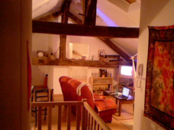 Colocation appartement - Romain propose un appartement � P�rigueux pour 200 EUR